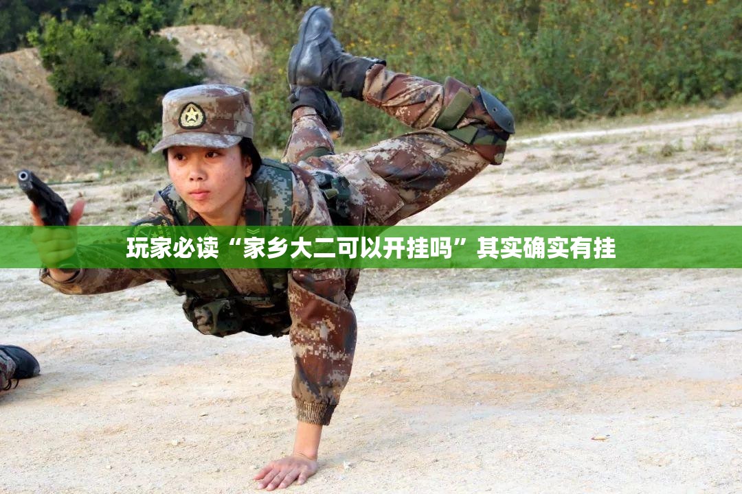 玩家必读“家乡大二可以开挂吗”其实确实有挂