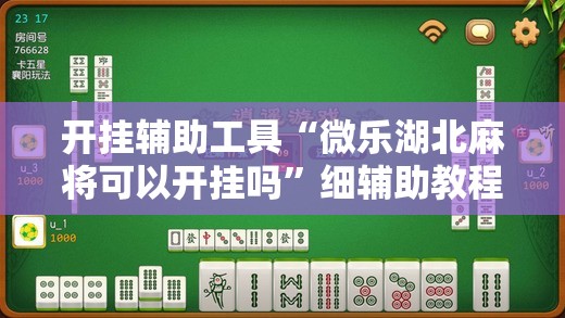 开挂辅助工具“微乐湖北麻将可以开挂吗”细辅助教程分享