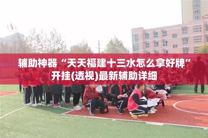 辅助神器“天天福建十三水怎么拿好牌”开挂(透视)最新辅助详细