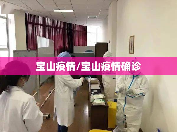 宝山疫情/宝山疫情确诊