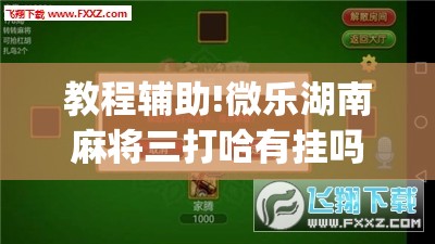教程辅助!微乐湖南麻将三打哈有挂吗”(免费)开挂辅助教学(最新辅助开挂教程)