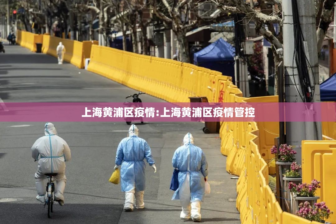 上海黄浦区疫情:上海黄浦区疫情管控