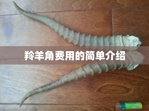 羚羊角费用的简单介绍