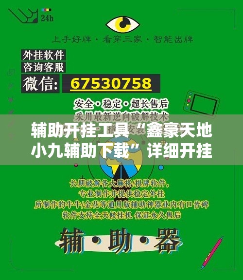 辅助开挂工具“鑫豪天地小九辅助下载”详细开挂教程