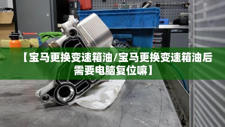 【宝马更换变速箱油/宝马更换变速箱油后需要电脑复位嘛】