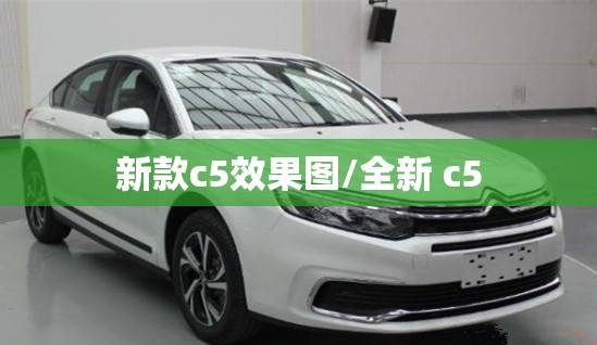 新款c5效果图/全新 c5