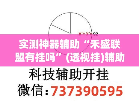 实测神器辅助“禾盛联盟有挂吗”(透视挂)辅助下载教程