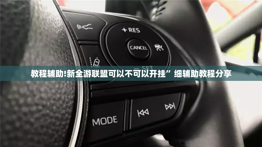 教程辅助!新全游联盟可以不可以开挂”细辅助教程分享