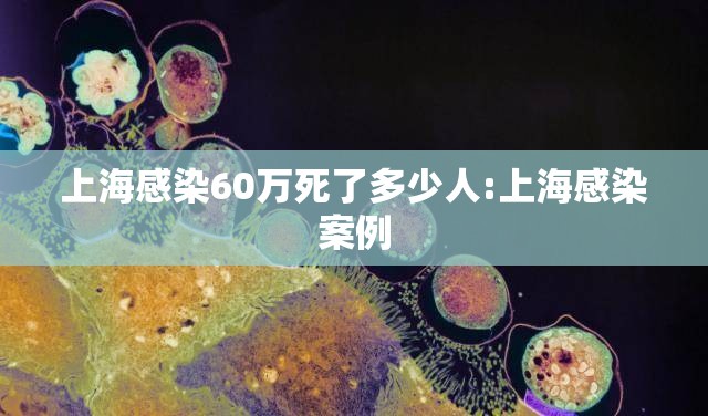上海感染60万死了多少人:上海感染案例