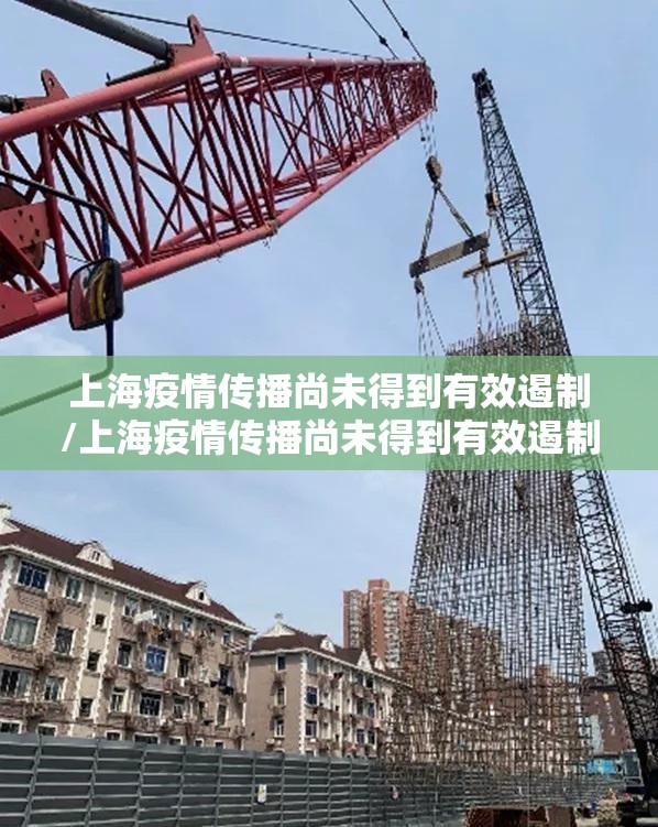 上海疫情传播尚未得到有效遏制/上海疫情传播尚未得到有效遏制的原因