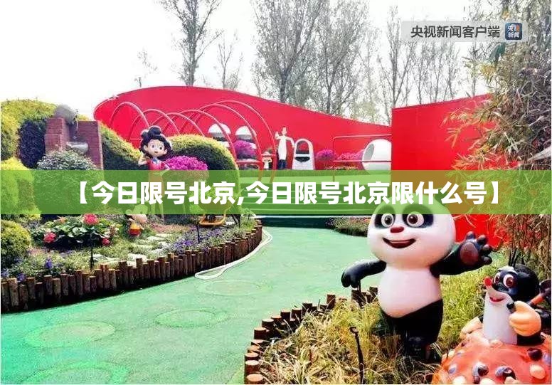 【今日限号北京,今日限号北京限什么号】