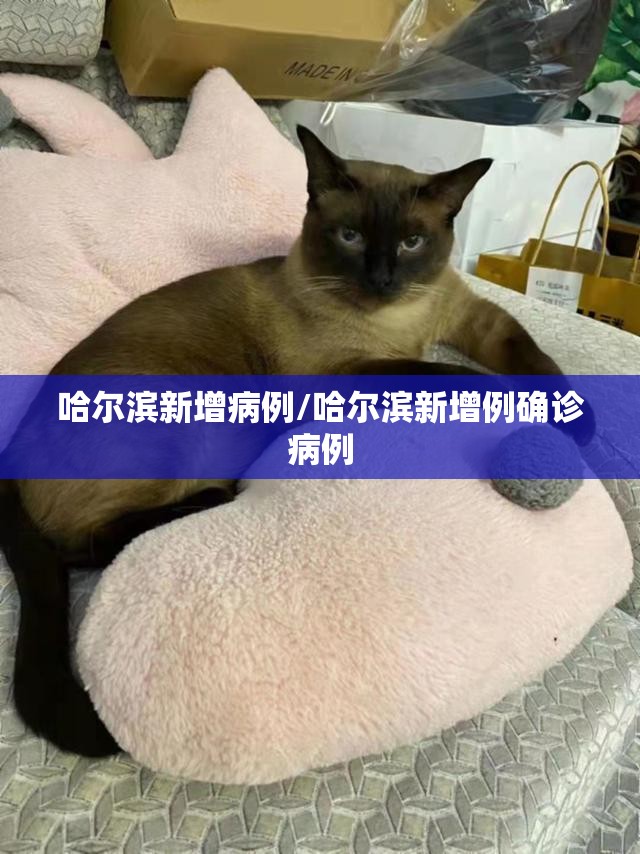 哈尔滨新增病例/哈尔滨新增例确诊病例