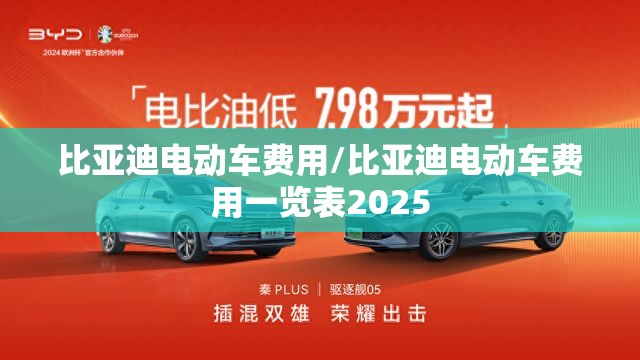 比亚迪电动车费用/比亚迪电动车费用一览表2025