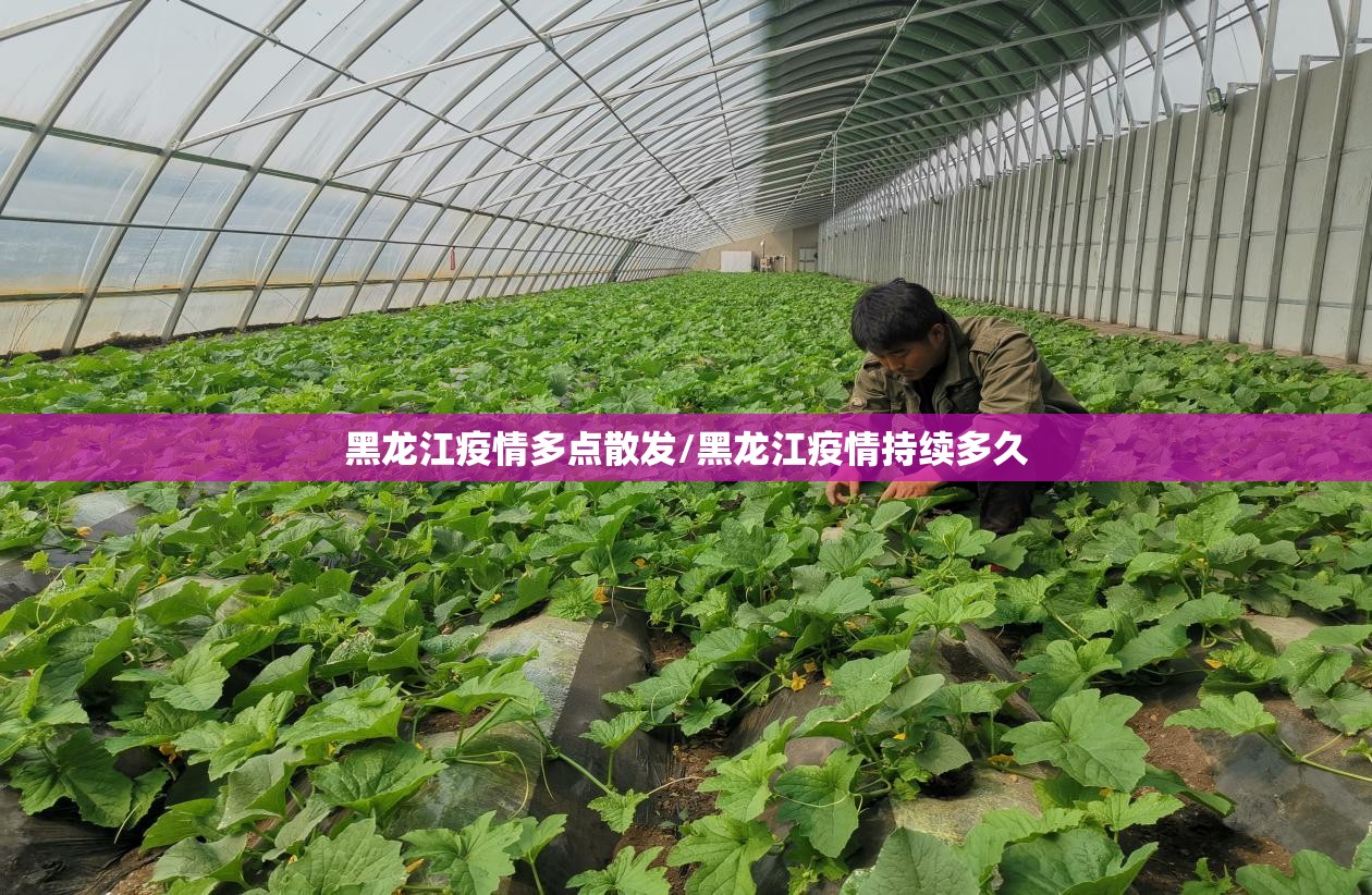 黑龙江疫情多点散发/黑龙江疫情持续多久