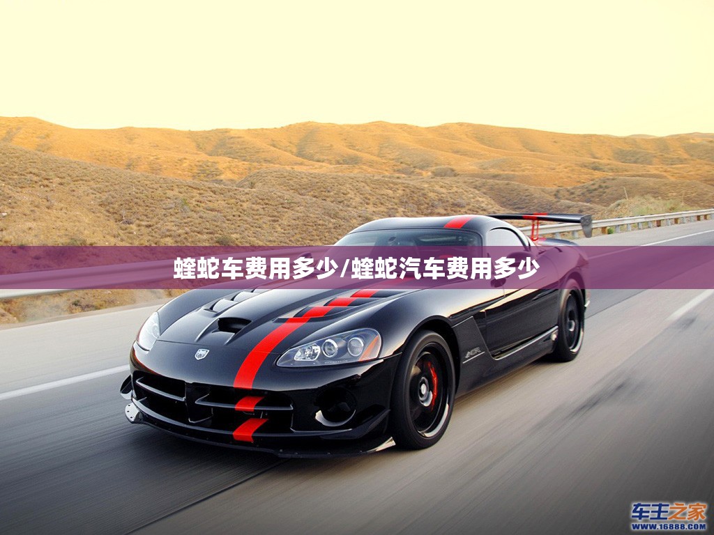 蝰蛇车费用多少/蝰蛇汽车费用多少