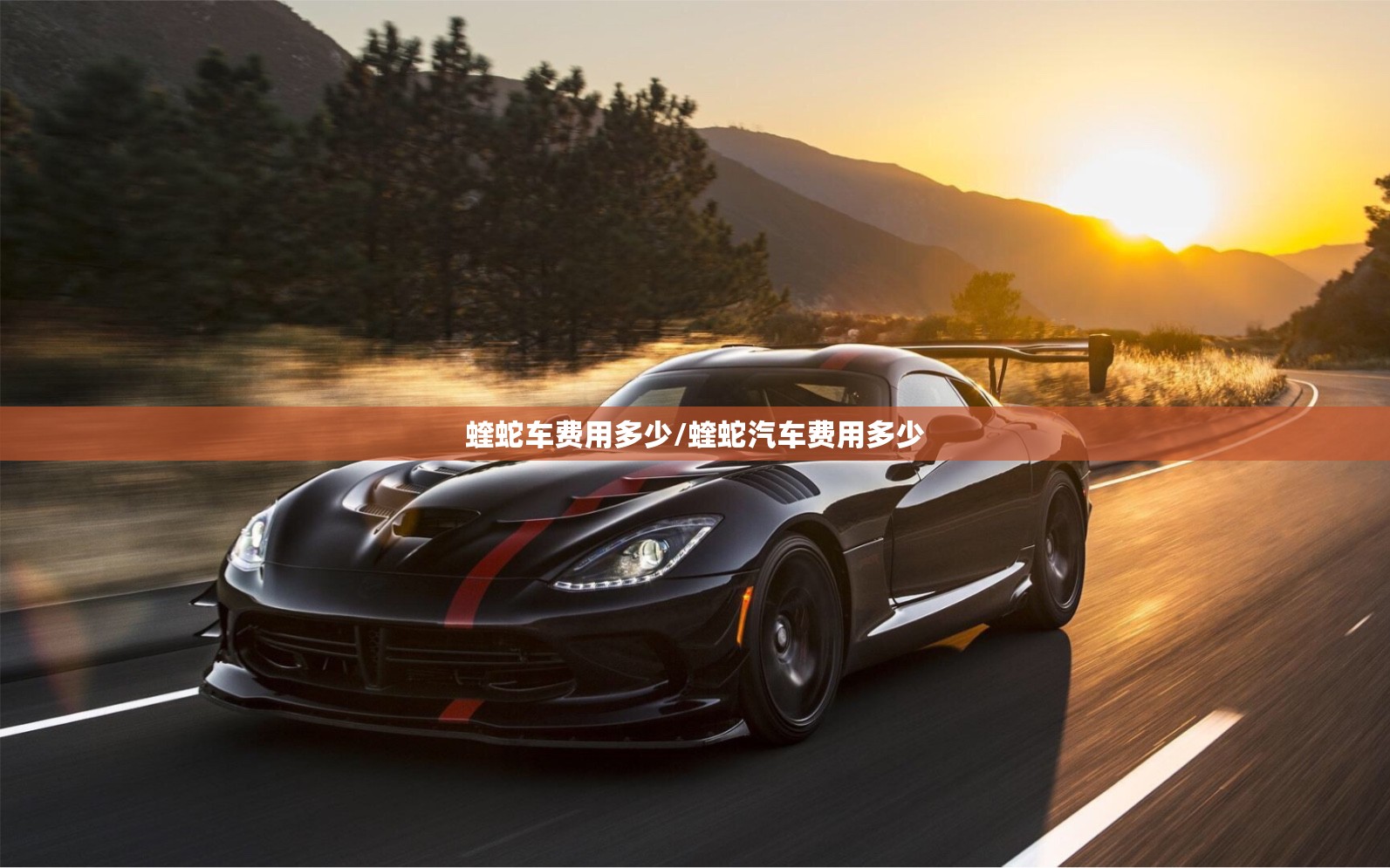 蝰蛇车费用多少/蝰蛇汽车费用多少