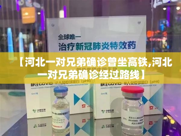 【河北一对兄弟确诊曾坐高铁,河北一对兄弟确诊经过路线】