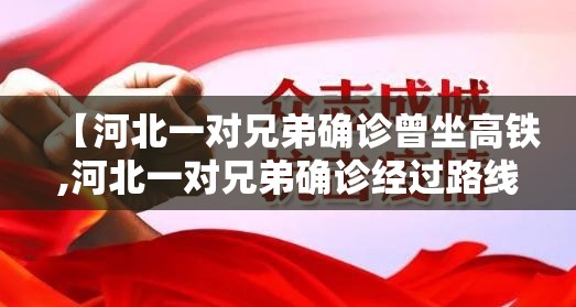 【河北一对兄弟确诊曾坐高铁,河北一对兄弟确诊经过路线】