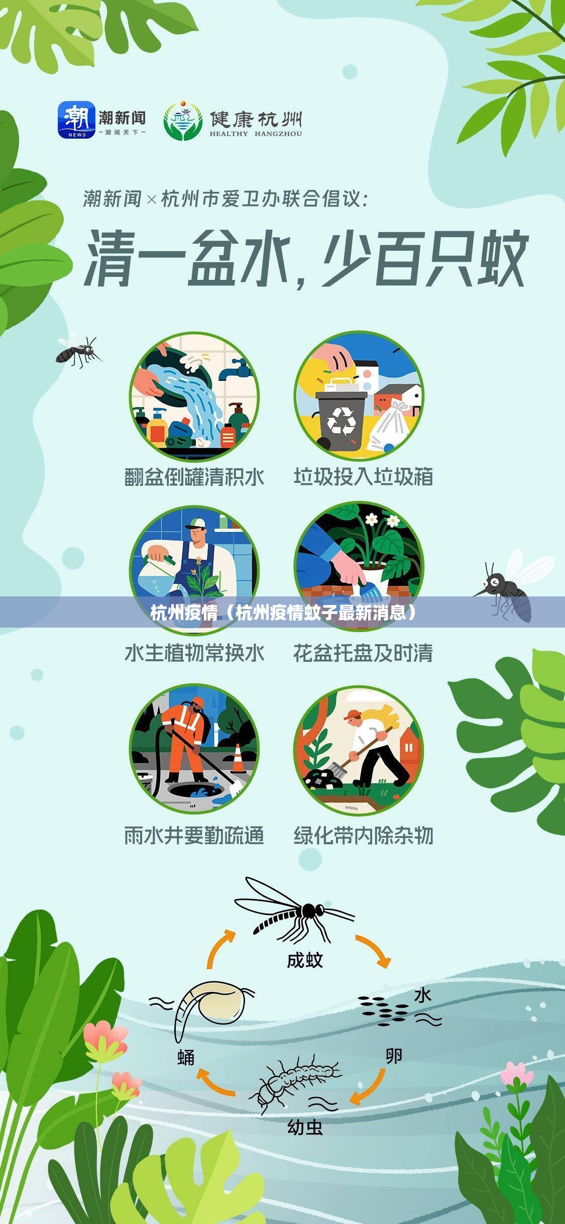 杭州疫情（杭州疫情蚊子最新消息）