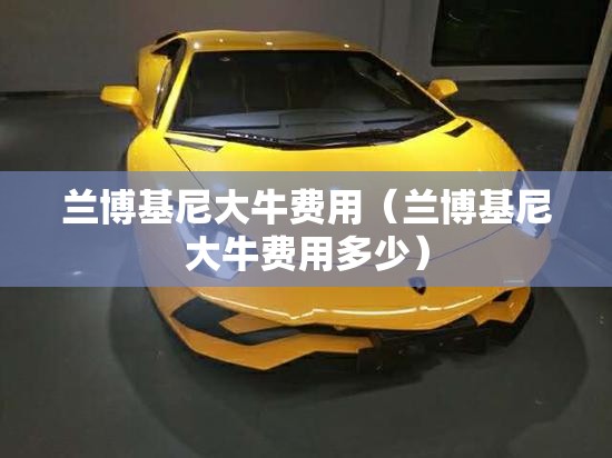 兰博基尼大牛费用（兰博基尼大牛费用多少）