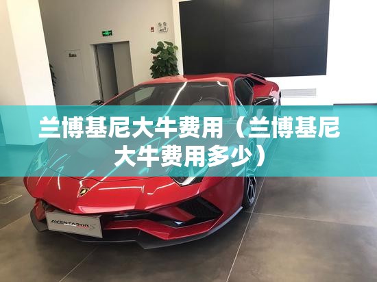 兰博基尼大牛费用（兰博基尼大牛费用多少）
