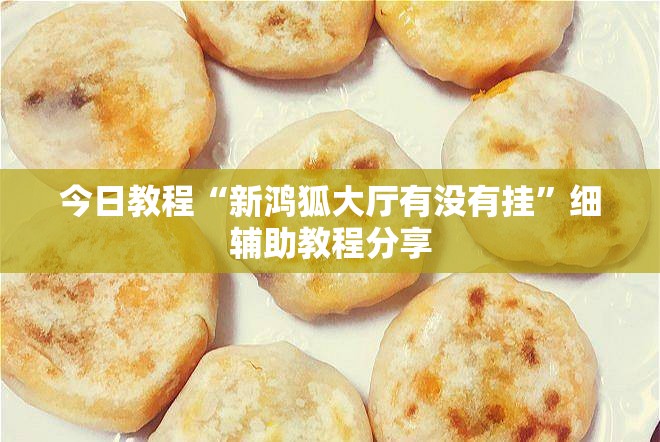 今日教程“新鸿狐大厅有没有挂	”细辅助教程分享