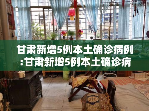 甘肃新增5例本土确诊病例:甘肃新增5例本土确诊病例分布