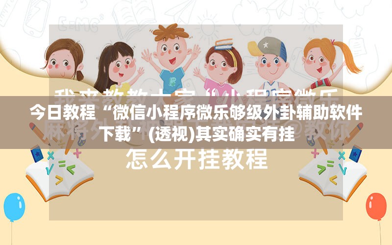 今日教程“微信小程序微乐够级外卦辅助软件下载”(透视)其实确实有挂
