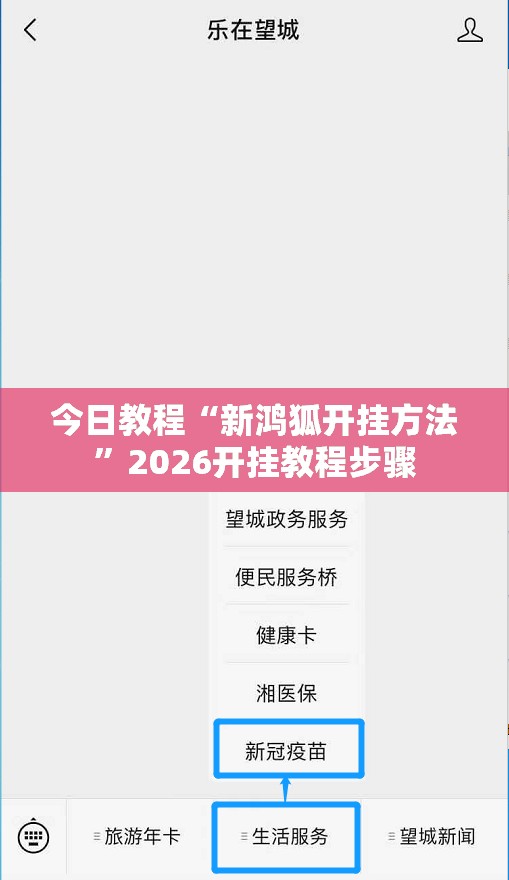 今日教程“新鸿狐开挂方法”2026开挂教程步骤