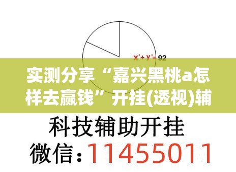 实测分享“嘉兴黑桃a怎样去赢钱”开挂(透视)辅助教程