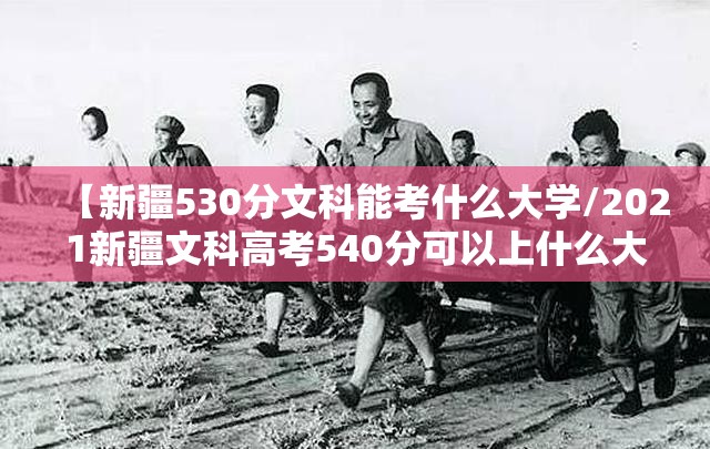 【新疆530分文科能考什么大学/2021新疆文科高考540分可以上什么大学】