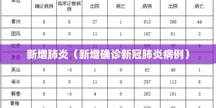 新增肺炎（新增确诊新冠肺炎病例）