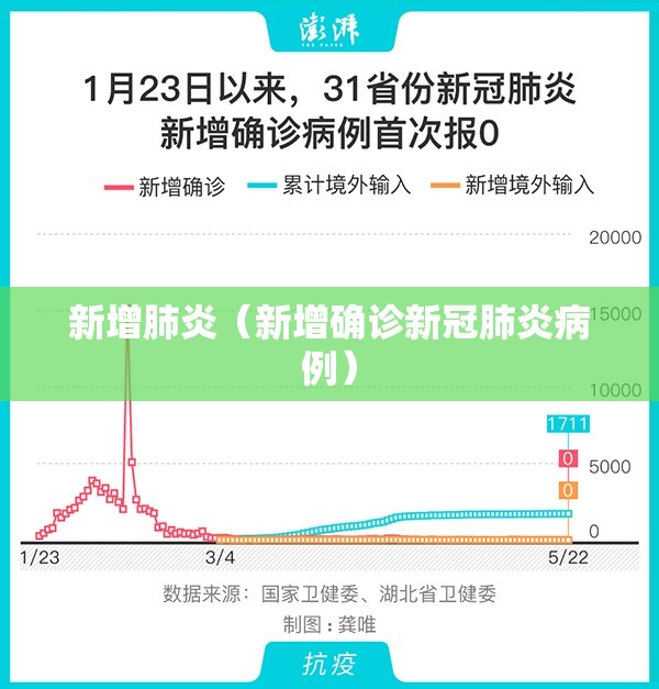 新增肺炎（新增确诊新冠肺炎病例）