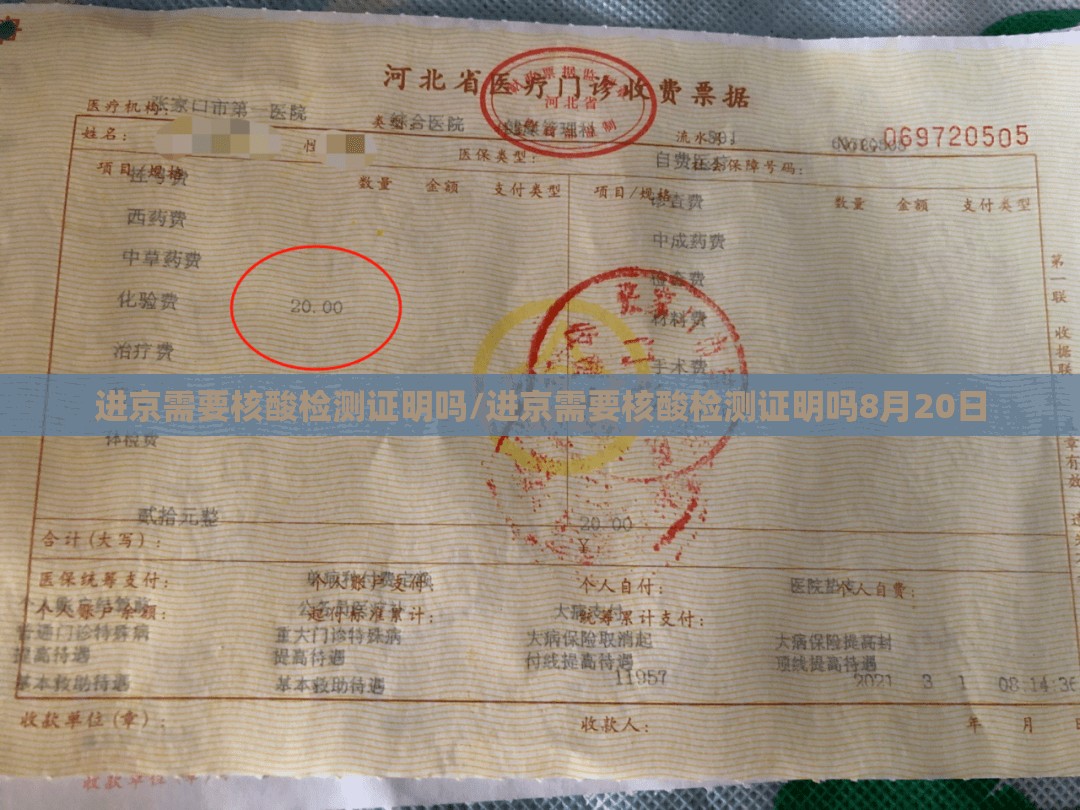 进京需要核酸检测证明吗/进京需要核酸检测证明吗8月20日