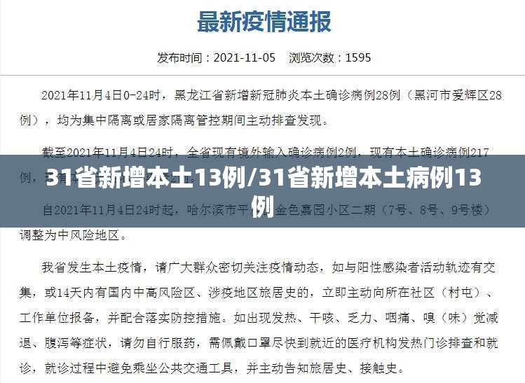 31省新增本土13例/31省新增本土病例13例