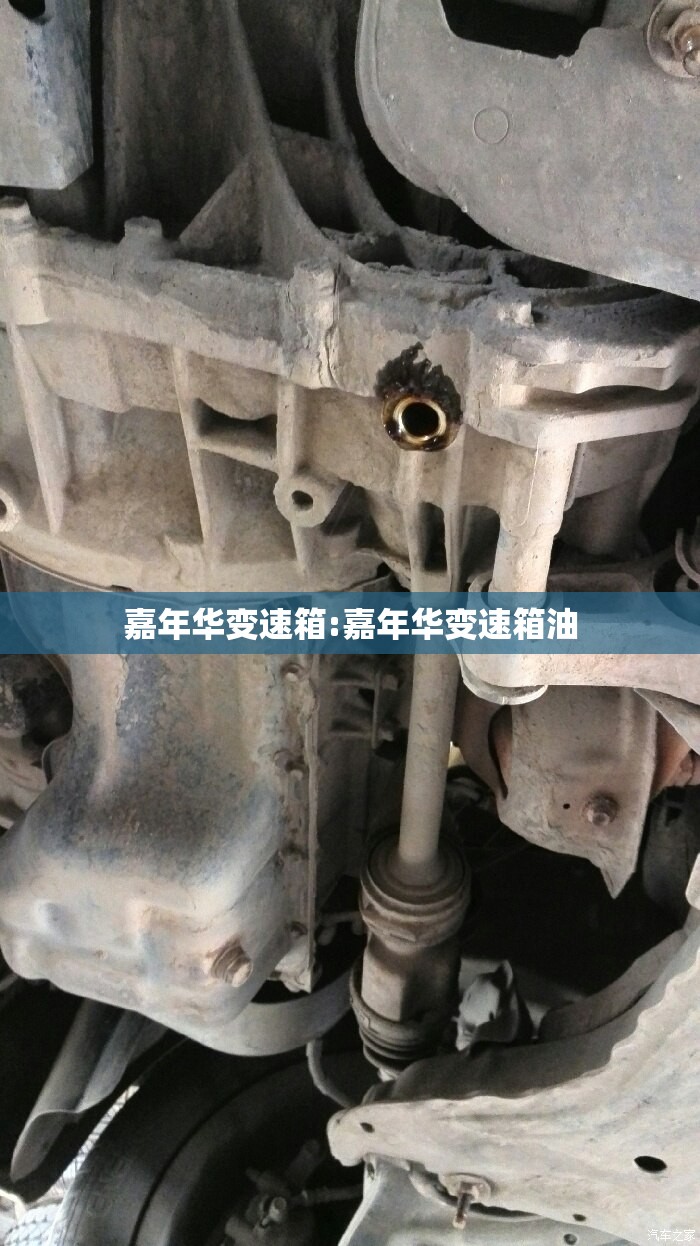 嘉年华变速箱:嘉年华变速箱油