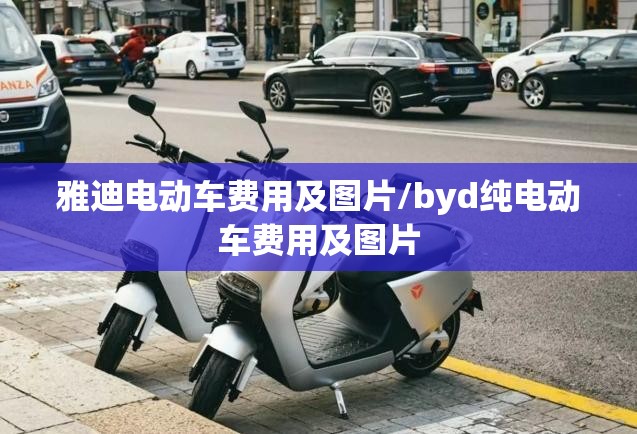 雅迪电动车费用及图片/byd纯电动车费用及图片