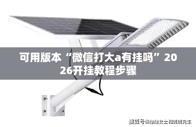 可用版本“微信打大a有挂吗”2026开挂教程步骤