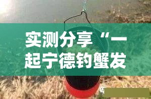 实测分享“一起宁德钓蟹发牌规律”详细外挂透视辅助软件教程
