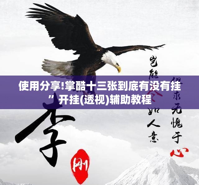 使用分享!掌酷十三张到底有没有挂	”开挂(透视)辅助教程