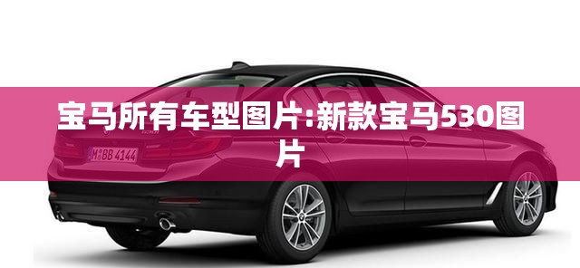 宝马所有车型图片:新款宝马530图片