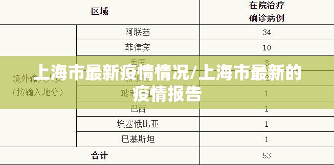 上海市最新疫情情况/上海市最新的疫情报告