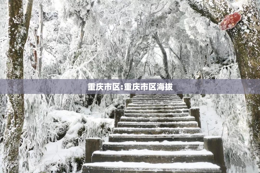重庆市区:重庆市区海拔