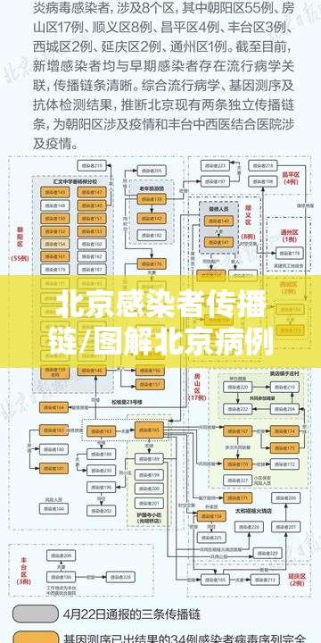 北京感染者传播链/图解北京病例感染链