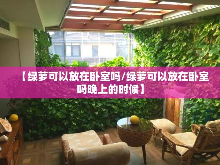 【绿萝可以放在卧室吗/绿萝可以放在卧室吗晚上的时候】
