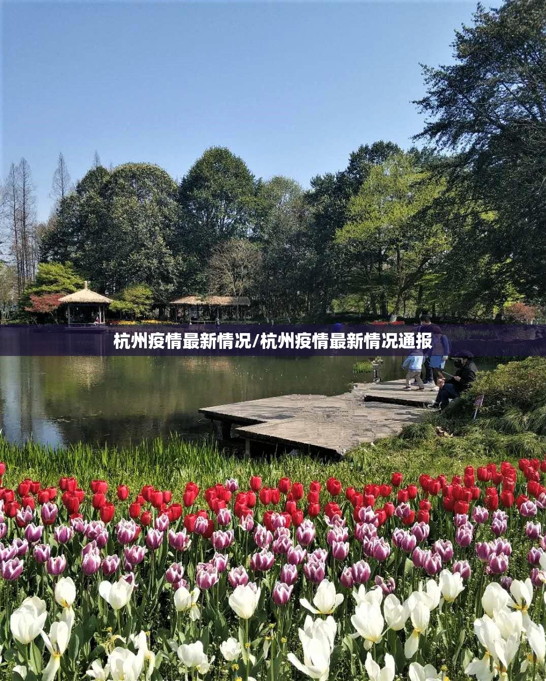 杭州疫情最新情况/杭州疫情最新情况通报