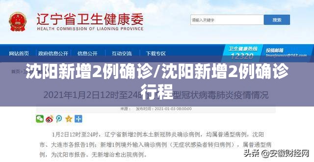沈阳新增2例确诊/沈阳新增2例确诊行程