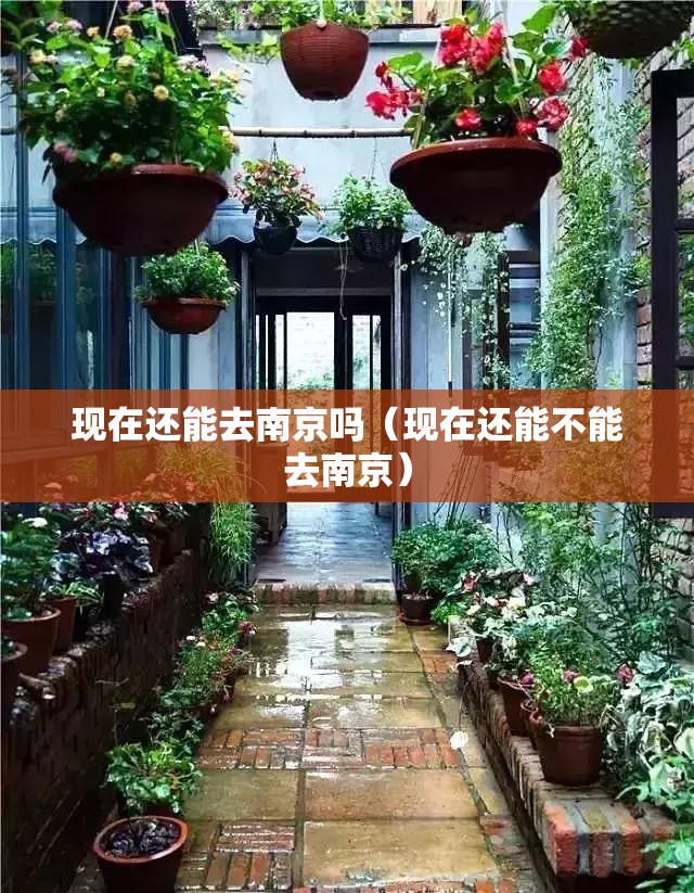 现在还能去南京吗（现在还能不能去南京）