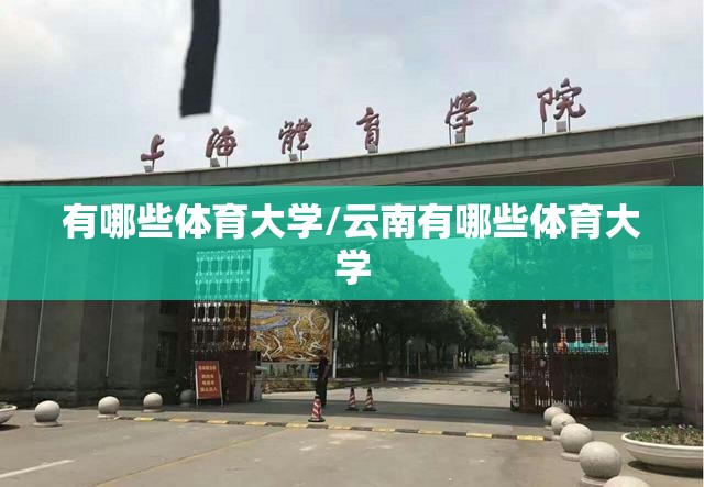 有哪些体育大学/云南有哪些体育大学