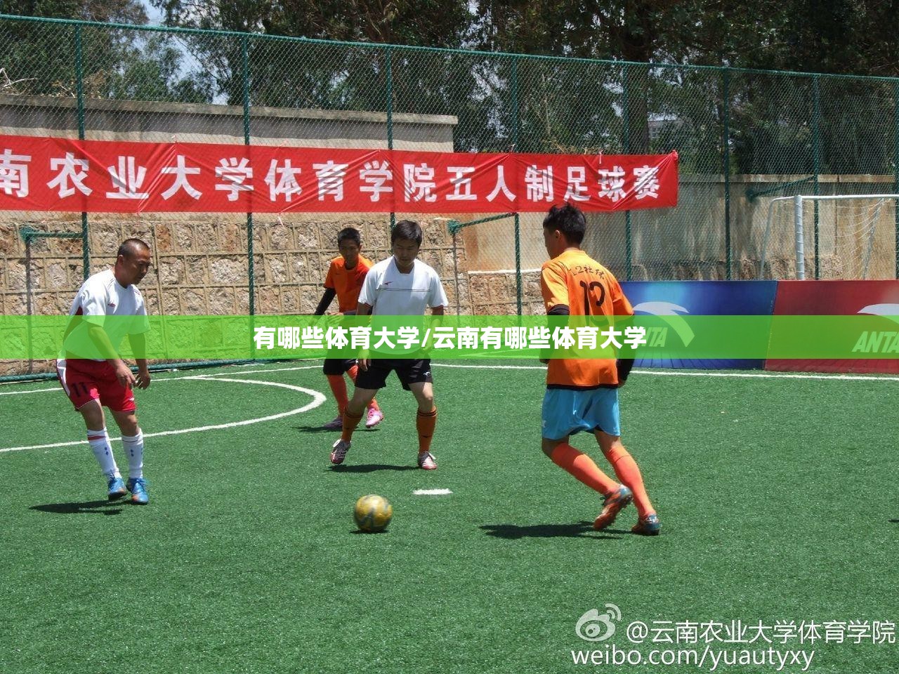 有哪些体育大学/云南有哪些体育大学